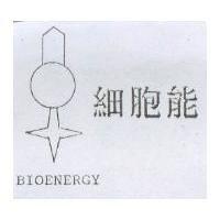 細胞能及圖 BIOENERGY