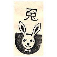 兔及圖