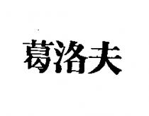 葛洛芙