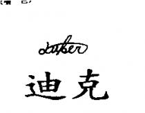 迪克 LUKER