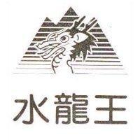 水龍王及圖