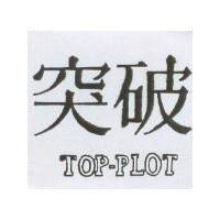 突破 TOP PLOT