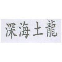 深海土龍