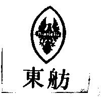 東舫 Bianchi 及圖