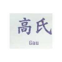 高氏 GAU
