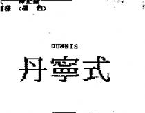 丹寧式 DUNNIS