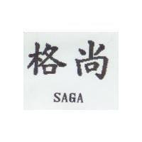 格尚 SAGA