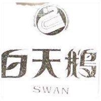 白天鵝 SWAN 及圖