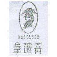 拿破崙及圖 NAPOLEON