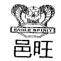 邑旺 EAGLESPIRIT 及圖