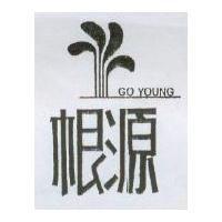 根源及圖 GO YOUNG