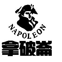 拿破崙 NAPOLEON 及圖