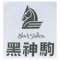 黑神駒 Black Stallion