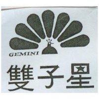 雙子星及圖 GEMINI