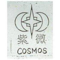 紫微及圖 COSMOS