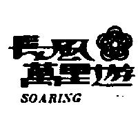 長風萬里遊及圖 SOARING