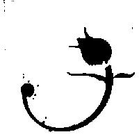 花朵設計圖