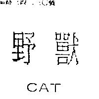 野獸 CAT
