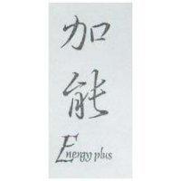 加能 ENERGY PLUS
