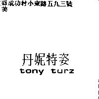 丹妮特姿 TONY TURZ