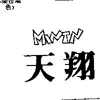 天翔 MINTN
