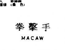 拳擊手 MACAW
