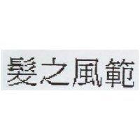 髮之風範