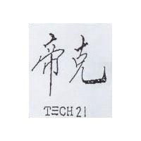 帝克 T 三 CH21