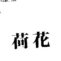 荷花
