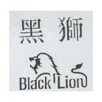 黑獅 BLACK LION 設計圖