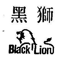 黑獅 BLACK LION 設計圖