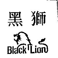 黑獅 BLACK LION 設計圖