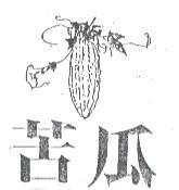 苦瓜及圖