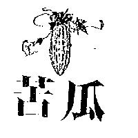 苦瓜及圖
