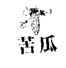 苦瓜及圖
