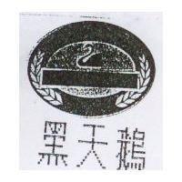黑天鵝及圖