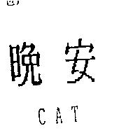 晚安 CAT