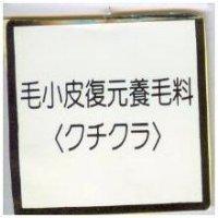 毛小皮復元養毛料<クチクラ>