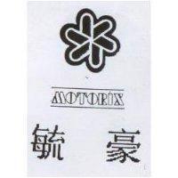 毓豪及圖 MOTORIX