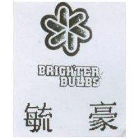 毓豪 BRIGHTER BULBS 及圖