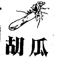 胡瓜及圖