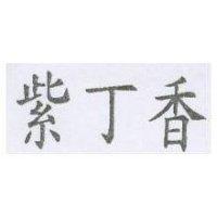 紫丁香