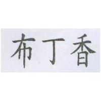 布丁香