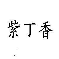 紫丁香