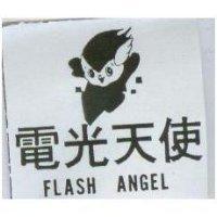 電光天使 FLASH ANGEL 及圖
