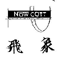 飛象及圖 NOW COTT