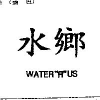 水鄉 WATER