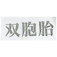双胞胎