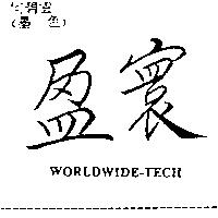 盈寰 WORLDWIDE TECH