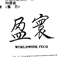 盈寰 WORLDWIDE-TECH